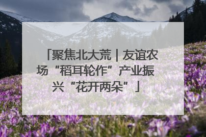 聚焦北大荒｜友谊农场“稻耳轮作”产业振兴“花开两朵”