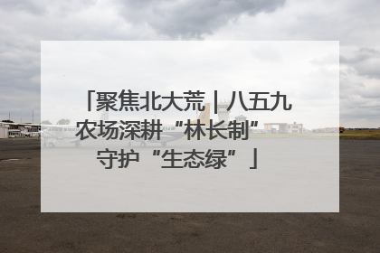 聚焦北大荒｜八五九农场深耕“林长制” 守护“生态绿”