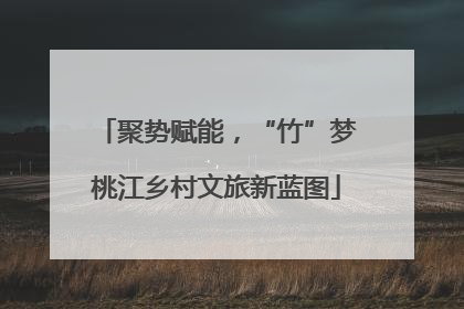 聚势赋能，“竹”梦桃江乡村文旅新蓝图