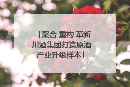 聚合 重构 革新 川酒集团打造原酒产业升级样本