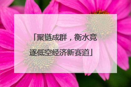 聚链成群，衡水竞逐低空经济新赛道