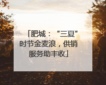 肥城：“三夏”时节金麦浪，供销服务助丰收