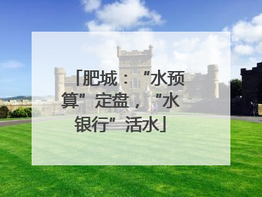 肥城：“水预算”定盘，“水银行”活水
