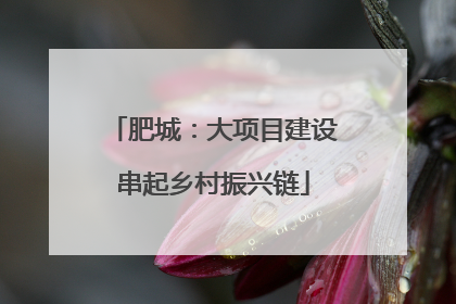 肥城：大项目建设串起乡村振兴链