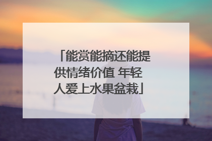 能赏能摘还能提供情绪价值 年轻人爱上水果盆栽