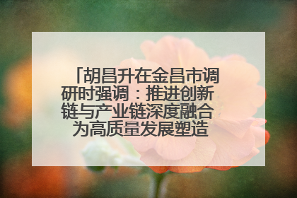 胡昌升在金昌市调研时强调：推进创新链与产业链深度融合 为高质量发展塑造新动能新优势