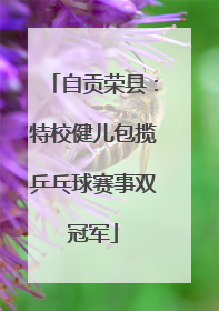 自贡荣县：特校健儿包揽乒乓球赛事双冠军