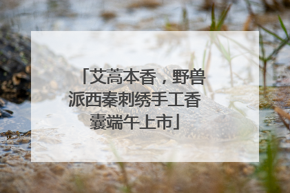 艾蒿本香，野兽派西秦刺绣手工香囊端午上市