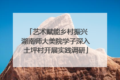 艺术赋能乡村振兴 湖南师大美院学子深入土坪村开展实践调研