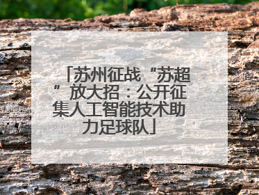 苏州征战“苏超”放大招：公开征集人工智能技术助力足球队