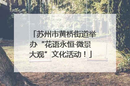 苏州市黄桥街道举办“花语永恒·微景大观”文化活动！