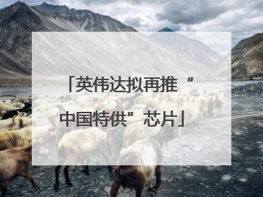 英伟达拟再推“中国特供”芯片