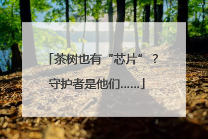 茶树也有“芯片”？守护者是他们……