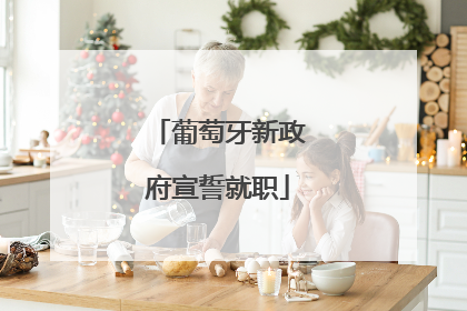 葡萄牙新政府宣誓就职