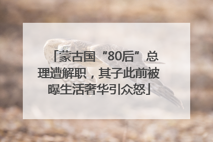 蒙古国“80后”总理遭解职，其子此前被曝生活奢华引众怒