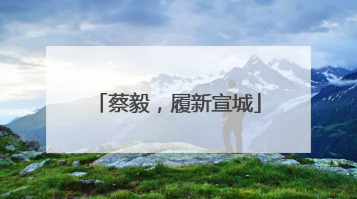 蔡毅，履新宣城