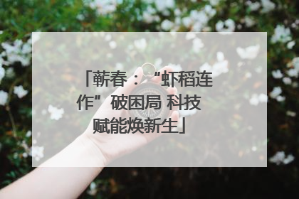 蕲春：“虾稻连作”破困局 科技赋能焕新生