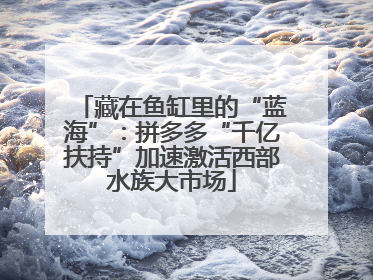 藏在鱼缸里的“蓝海”：拼多多“千亿扶持”加速激活西部水族大市场