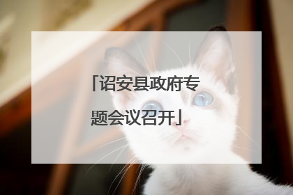 诏安县政府专题会议召开