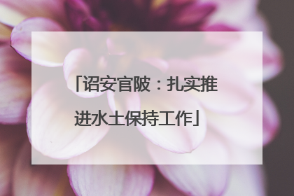 诏安官陂：扎实推进水土保持工作