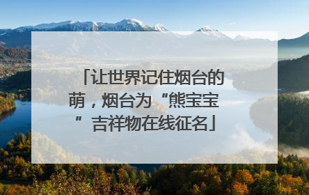 让世界记住烟台的萌，烟台为“熊宝宝”吉祥物在线征名
