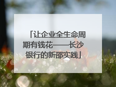 让企业全生命周期有钱花——长沙银行的新邵实践