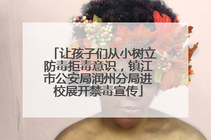 让孩子们从小树立防毒拒毒意识，镇江市公安局润州分局进校展开禁毒宣传