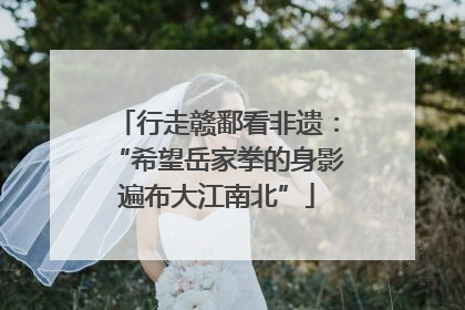 行走赣鄱看非遗：“希望岳家拳的身影遍布大江南北”
