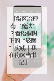 街区治理有“魔法”？看梧桐树下的“破圈”实践｜我在街区当书记