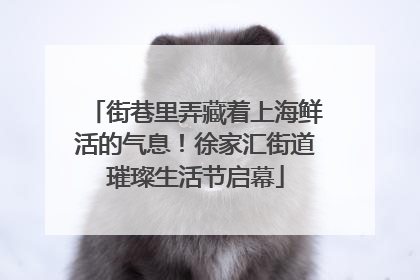 街巷里弄藏着上海鲜活的气息！徐家汇街道璀璨生活节启幕