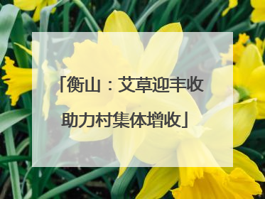 衡山：艾草迎丰收 助力村集体增收