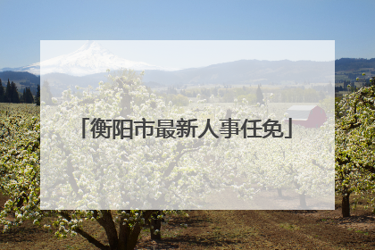衡阳市最新人事任免