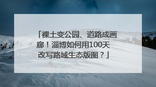 裸土变公园、道路成画廊！淄博如何用100天改写路域生态版图？