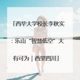 西华大学校长李秋实：乐山“智慧低空”大有可为｜西望四川