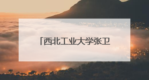 西北工业大学张卫红院士荣获J.N.Reddy奖章
