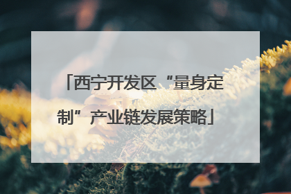 西宁开发区“量身定制”产业链发展策略