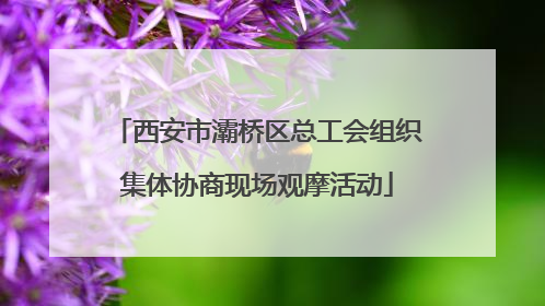 西安市灞桥区总工会组织集体协商现场观摩活动