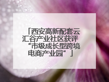 西安高新配套云汇谷产业社区获评“市级成长型跨境电商产业园”