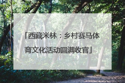 西藏米林：乡村赛马体育文化活动圆满收官