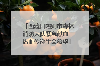 西藏日喀则市森林消防大队紧急献血 热血传递生命希望