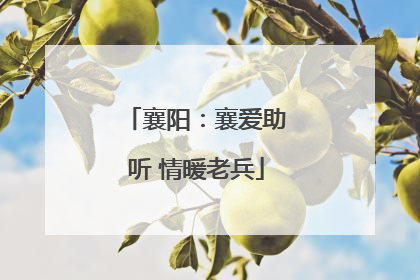 襄阳：襄爱助听 情暖老兵
