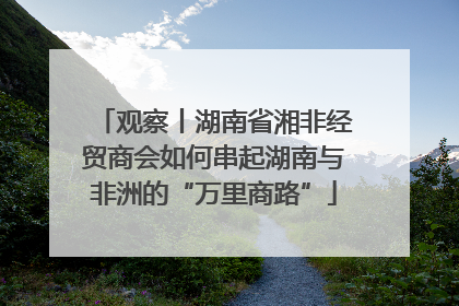 观察丨湖南省湘非经贸商会如何串起湖南与非洲的“万里商路”