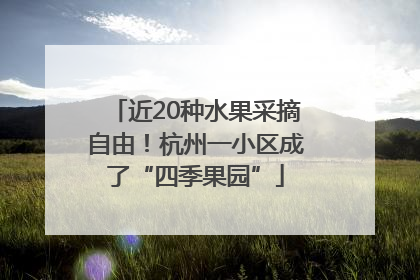 近20种水果采摘自由！杭州一小区成了“四季果园”