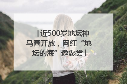 近500岁地坛神马圈开放，网红“地坛的海”邀您尝