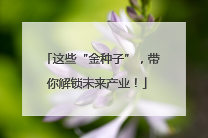 这些“金种子”，带你解锁未来产业！