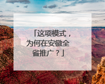 这项模式，为何在安徽全省推广？