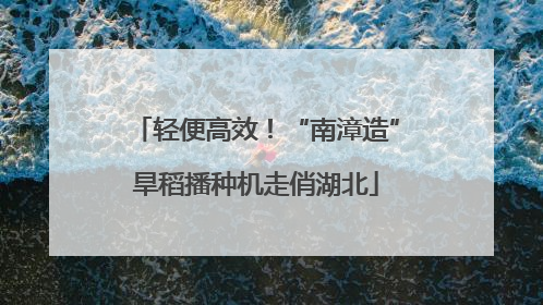 轻便高效！“南漳造”旱稻播种机走俏湖北