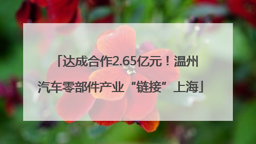 达成合作2.65亿元！温州汽车零部件产业“链接”上海