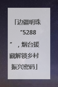 边疆明珠“5288”，烟台援藏解锁乡村振兴密码