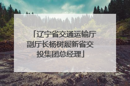 辽宁省交通运输厅副厅长杨树履新省交投集团总经理